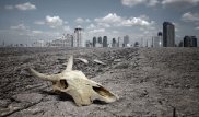 За последние 40 лет в мире стало на 60 процентов меньше животных