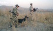 19 экстремистов задержаны в Кыргызстане во время спецоперации ШОС