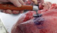 Бесконтрольный экспорт говядины может обрушить внутренний рынок Казахстана - эксперт