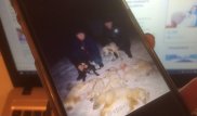 Фото убитых животных в Павлодаре возмутило пользователей соцсетей