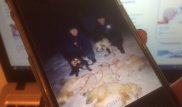 Охотников наказали после фото с убитыми животными в Павлодаре