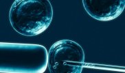 Мать девочки из Актау настаивает на эксперименте со стволовыми клетками