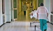 Полуторагодовалый ребенок упал в горячий бульон на свадьбе в ЗКО