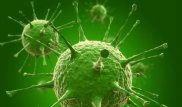 Ученые обнаружили тысячи неизвестных вирусов