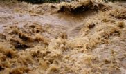 Паводки в связи с дождями прогнозируются на реках Алматинской области