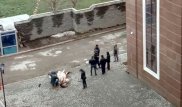Разделывание лошади на улице возмутило алматинцев