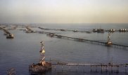 На Каспии продолжаются поиски пропавших без вести азербайджанских нефтяников