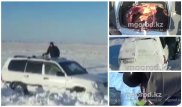 Видео задержания барымтачей, отстреливавших скот на элитном авто