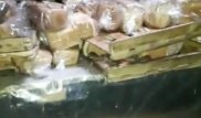 Павлодарские хлебопеки требуют наказать распространителей видео с мышами