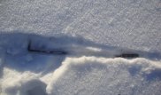 Кочерга помогла раскрыть кражу в Костанайской области