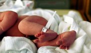 В Сети обнаружен сайт по продаже новорожденных - СМИ