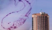 В МВД РК прокомментировали "смертельные игры" "Синий кит" и "Тихий дом"