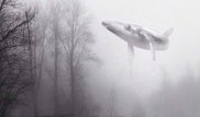 Трое павлодарских школьников порезали руки, играя в "Синий кит"