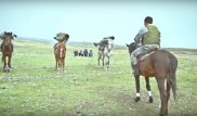 Опубликовано видео войсковой части, солдаты которой погибли при сходе лавины в Жамбылской области