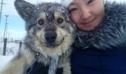 Собаку, пролежавшую всю ночь под снегом, откопали в Экибастузе