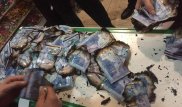 Фото обугленных купюр прокомментировали в ДВД Алматинской области