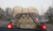 Полиция Алматы разыскивает водителя авто, сбившего насмерть ребенка возле школы