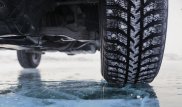 Карагандинские полицейские вышли на след подозреваемого по запаху