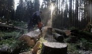 О бревнах. Самая мужицкая книга года