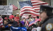 Полиция США задержала 20 человек после столкновений сторонников и противников Трампа