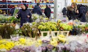 Не дарить женщинам букеты цветов призвали экологи