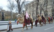 Верблюд потоптал девушку на празднике, посвященном Наурызу