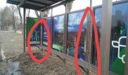 В Талдыкоргане посадили деревья на остановке