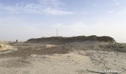Археологи обнаружили руины древнего городка-оазиса