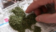 За "сюрприз" с марихуаной для казахстанца россиянка получила два года колонии
