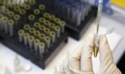 В США супруги после ДНК-теста узнали, что они близнецы