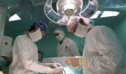 Британские медики начнут пересаживать младенцам органы свиней