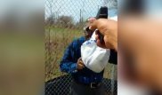 В Facebook прокомментировали трансляцию убийства через соцсеть