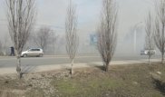 Старое кладбище загорелось в Костанае