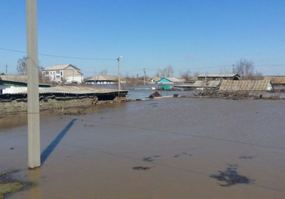 Фото: Талгат Сатыбалдин