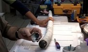 Ученые впервые поймали гигантского червя, описанного 300 лет назад