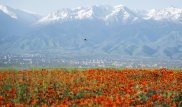 Куда можно поехать в Казахстане на майские праздники