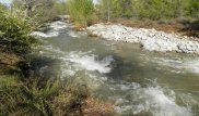 Трое детей из одной семьи утонули в поливном арыке в Алматинской области