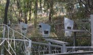 В ДВД Алматы рассказали о грабителе, нападавшем на женщин на Центральном кладбище