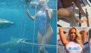Казус с акулой и порноактрисой получил продолжение