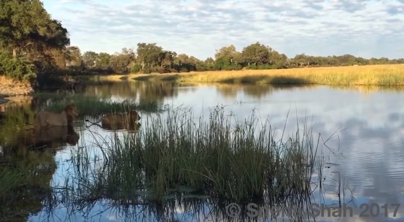 Случайно Снимали Фото