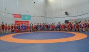Турнир по вольной и греко-римской борьбе под эгидой World Class прошел в Алматы