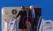 Меланья Трамп вновь при всех отказалась брать мужа за руку