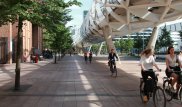 Как сделать города Казахстана велосипедными - советы голландцев