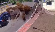 Семиэтажный фонтан кипятка разнес целую улицу в Киеве: Асфальт разорвало как бумагу