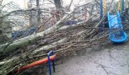 Еще несколько человек пострадали из-за небывалого урагана в Таразе
