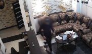 Кража из офиса адвокатской конторы попала на видео в Астане