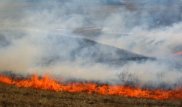 В Роскосмосе прокомментировали гибель мужчины при падении части ракеты близ Жезказгана