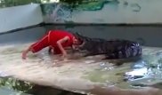 Крокодил попытался откусить голову мужчине на шоу в Таиланде
