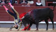 Всемирно известный испанский матадор погиб во время корриды во Франции