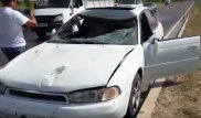 Мужчина попал в больницу после наезда на жеребенка в Алматы